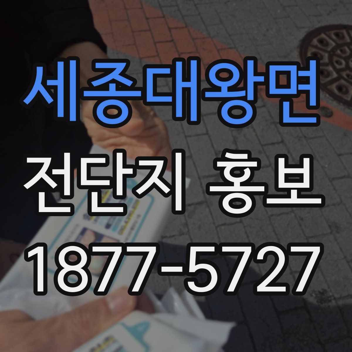 세종대왕면 전단지 홍보