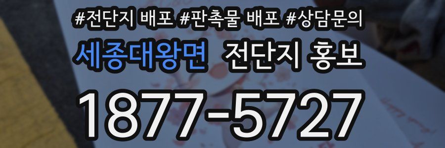 세종대왕면 전단지 홍보