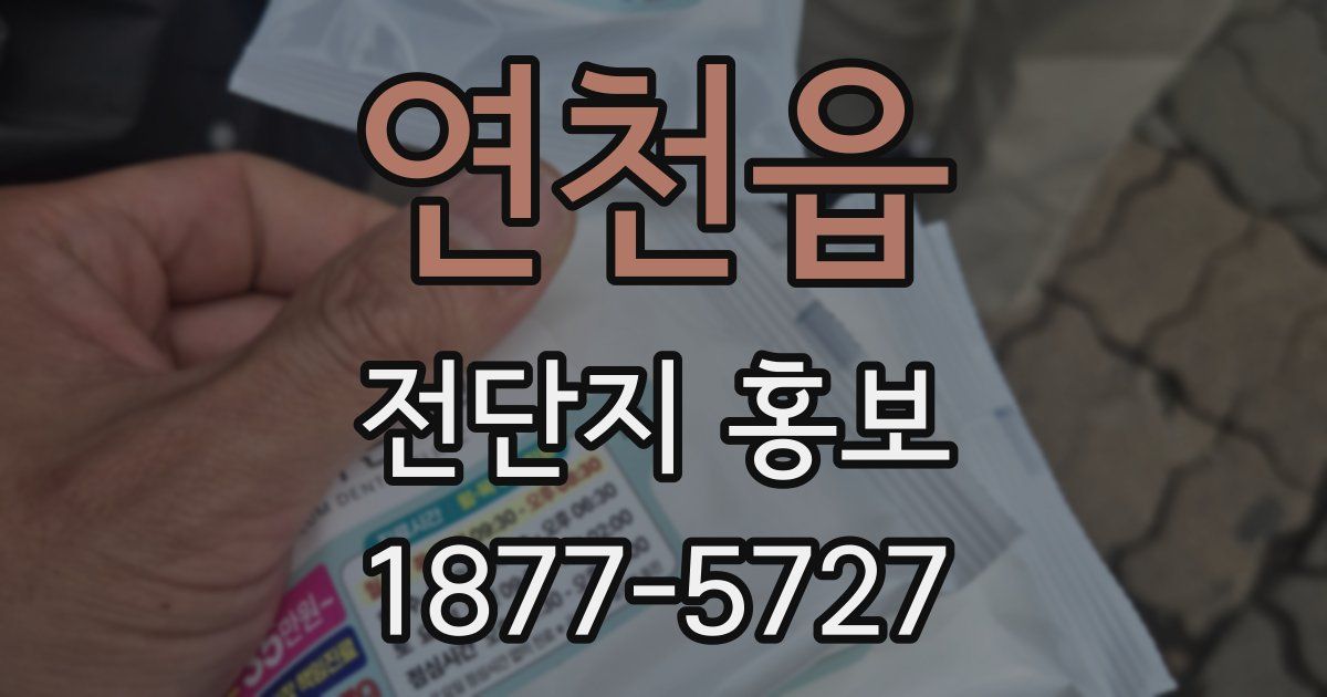 연천읍 전단지 홍보
