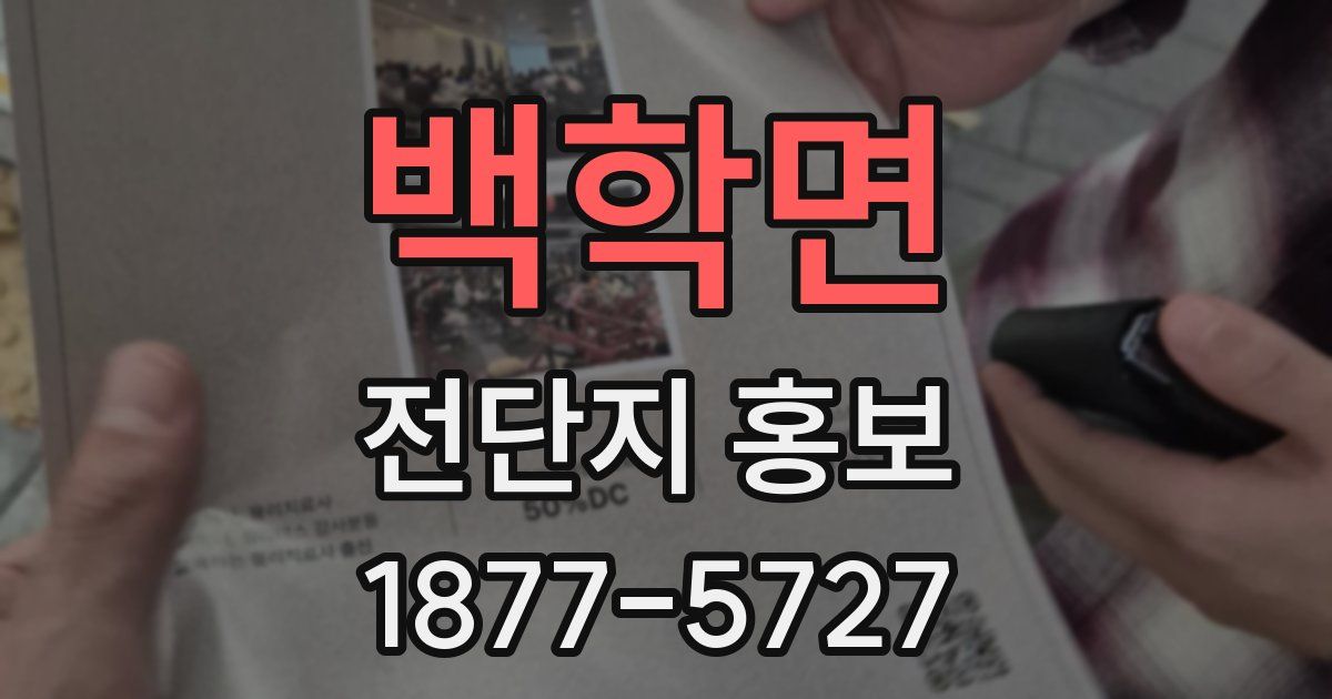 백학면 전단지 홍보