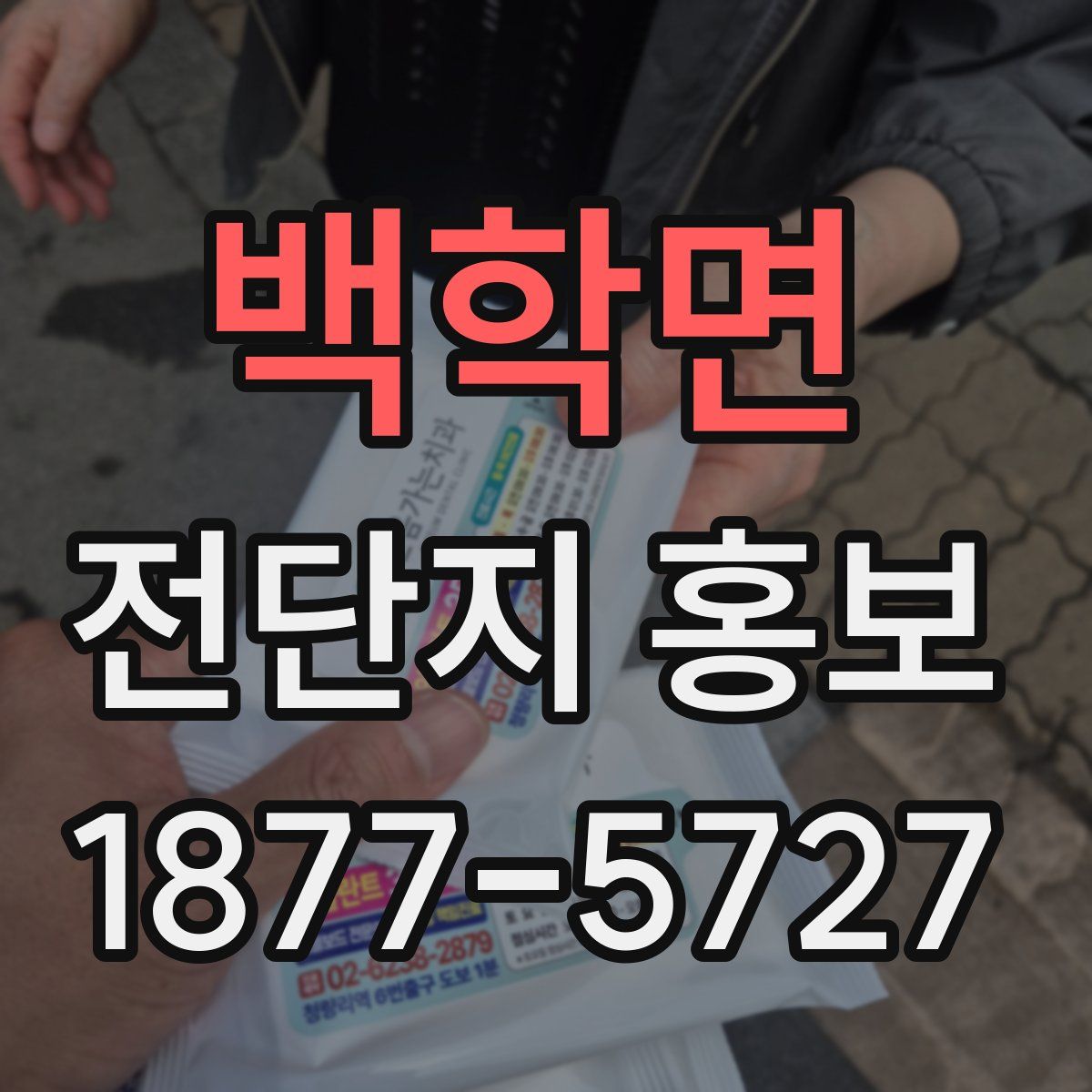 백학면 전단지 홍보
