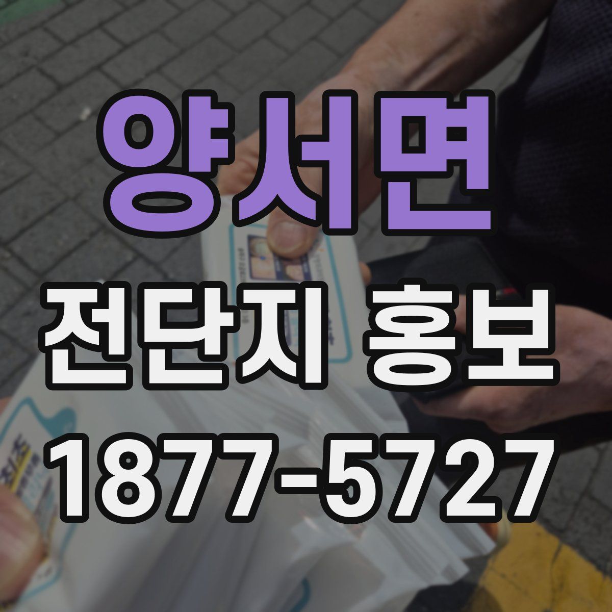 양서면 전단지 홍보