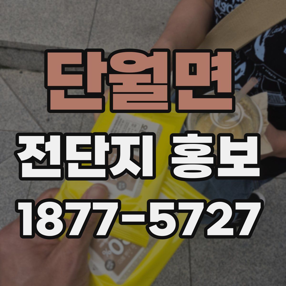 단월면 전단지 홍보