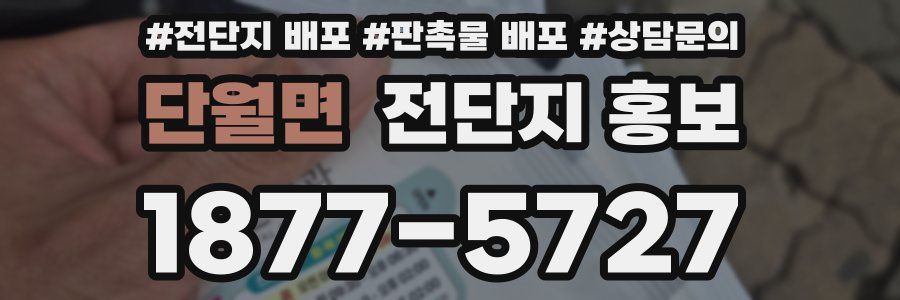 단월면 전단지 홍보