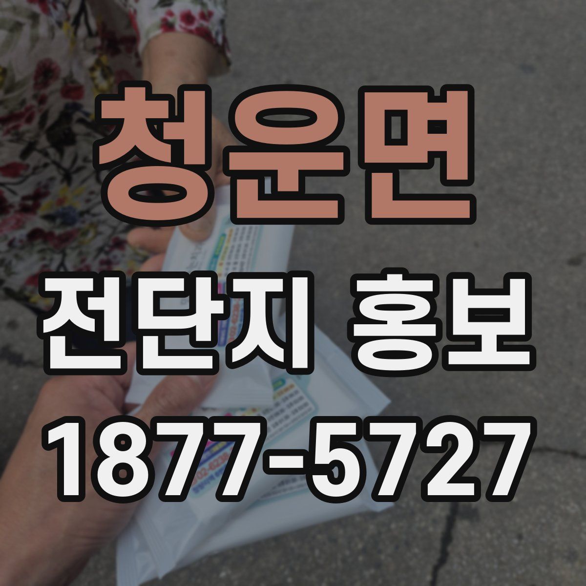 청운면 전단지 홍보