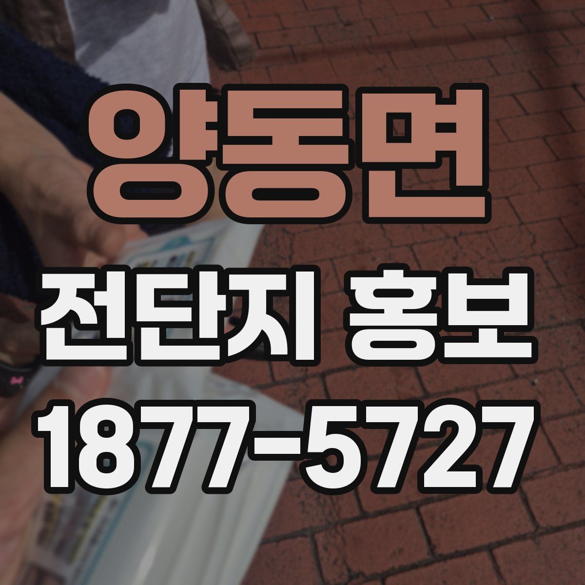 양동면 전단지 홍보