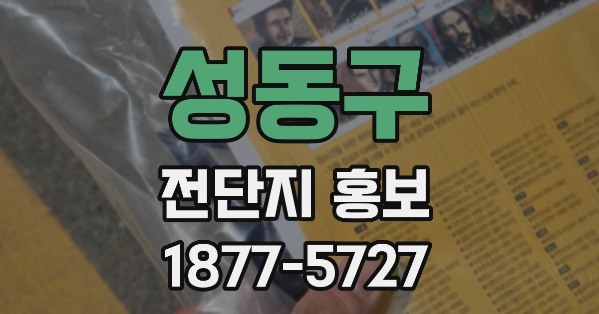 성동구 전단지 홍보