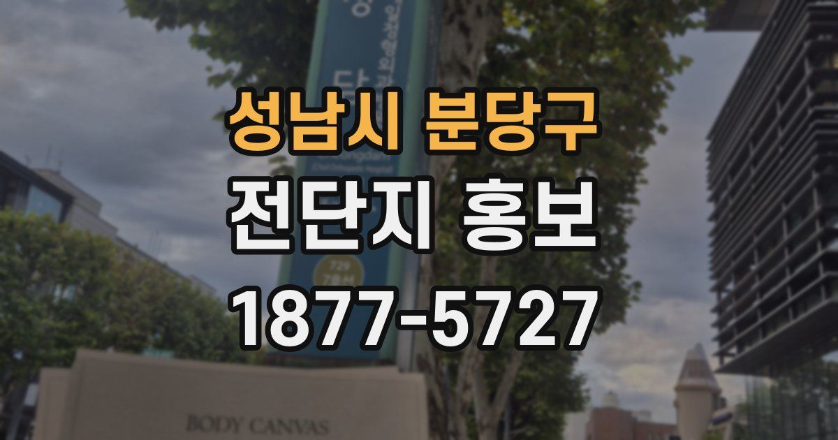 성남시 분당구 전단지 홍보
