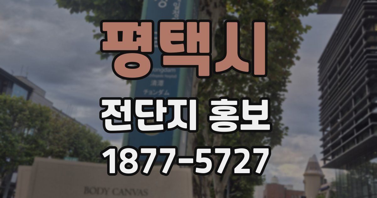 평택시 전단지 홍보
