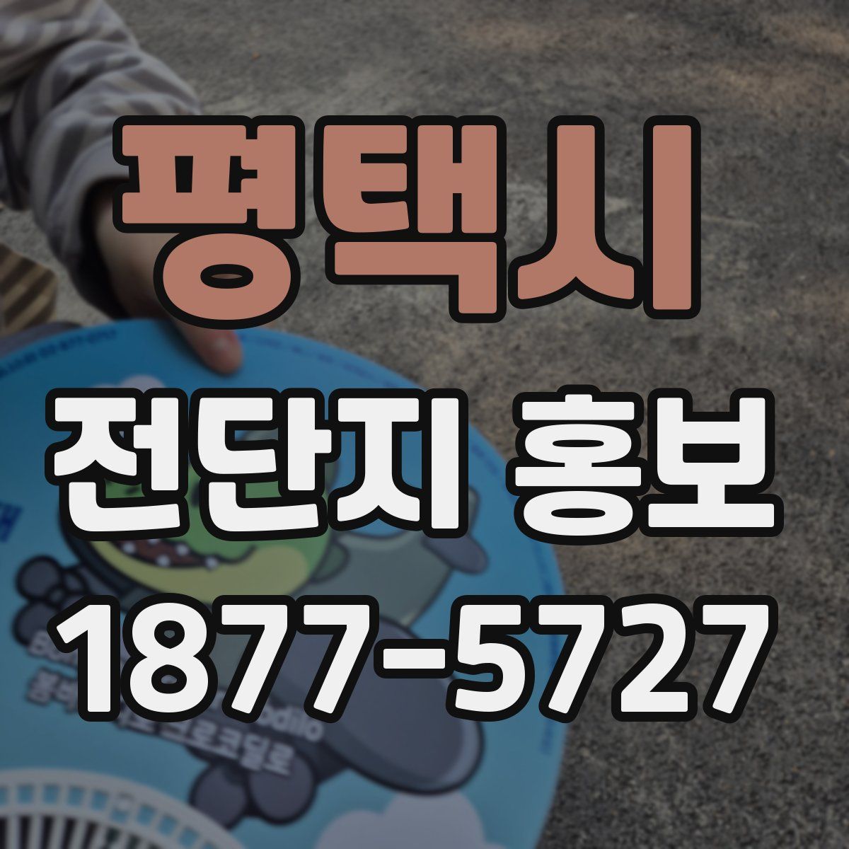 평택시 전단지 홍보