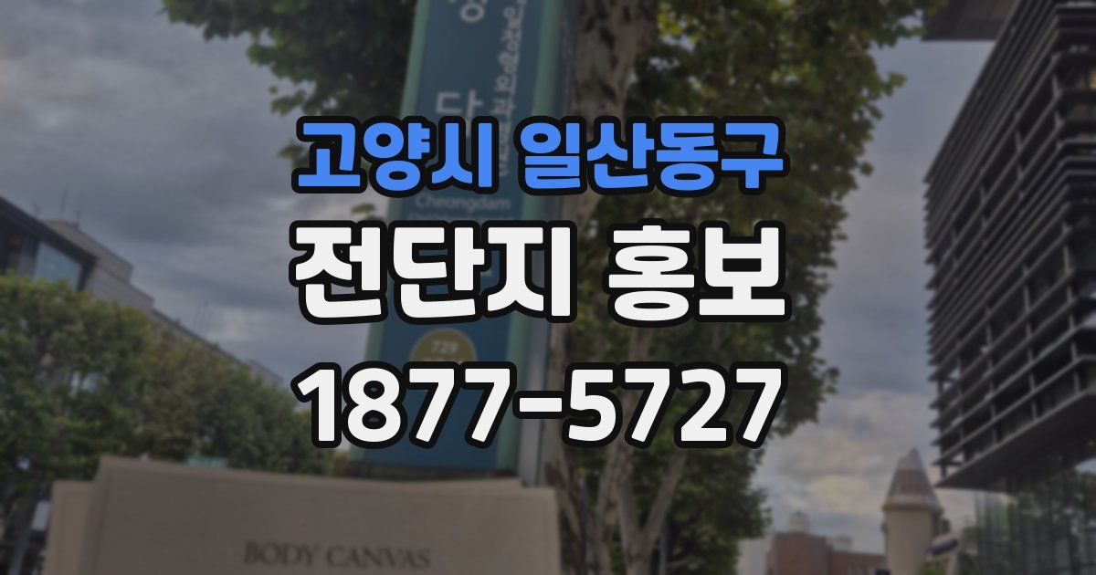 고양시 일산동구 전단지 홍보