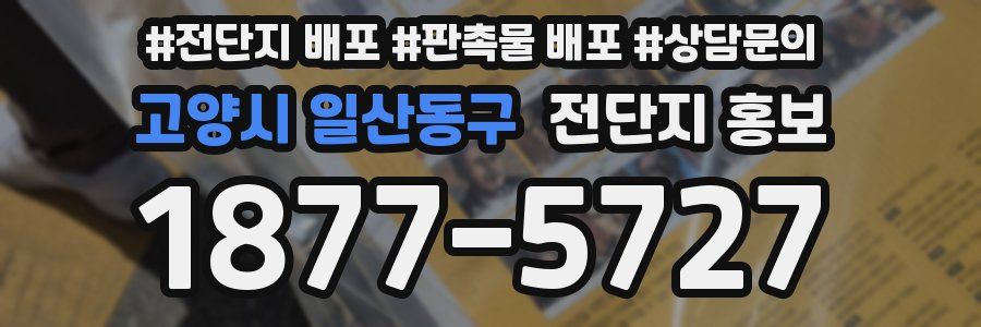 고양시 일산동구 전단지 홍보