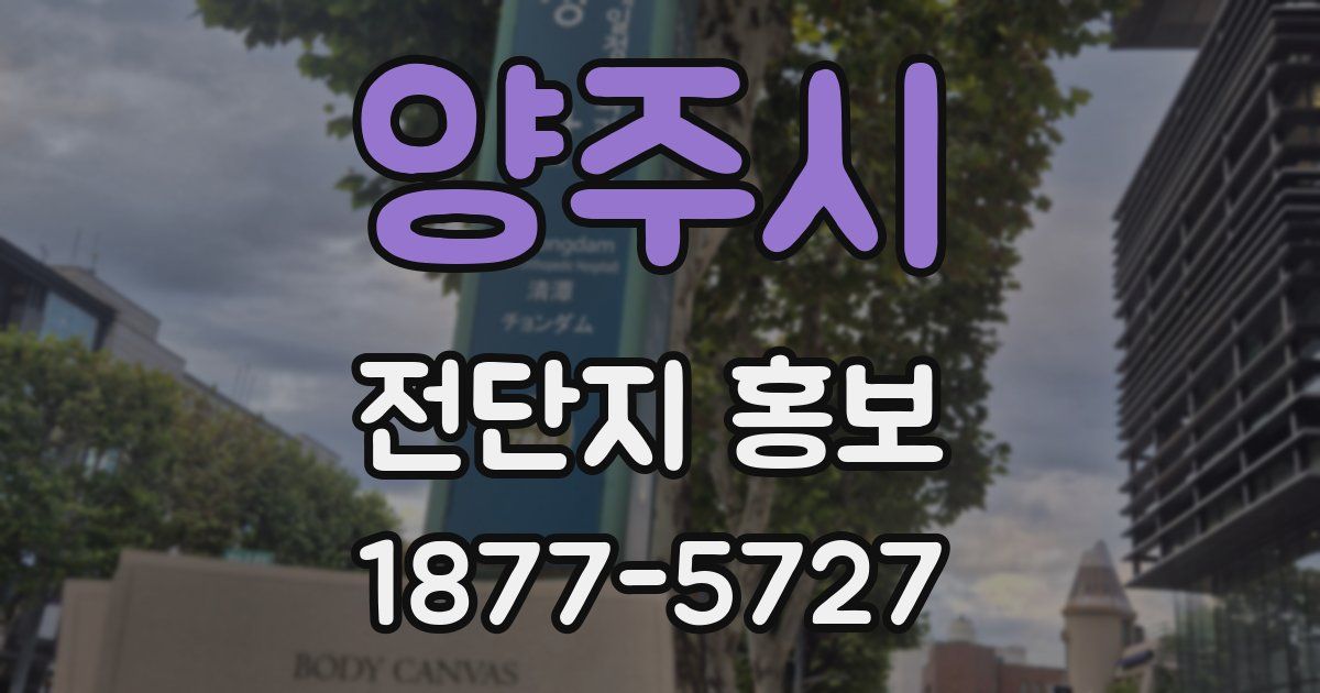 양주시 전단지 홍보