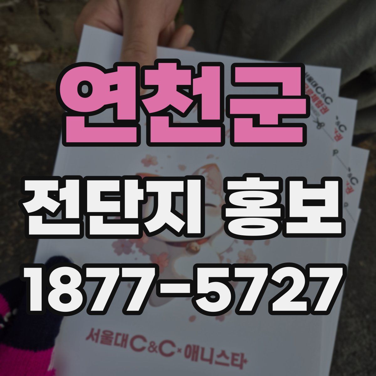 연천군 전단지 홍보