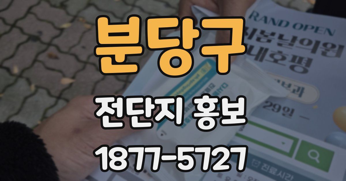분당구 전단지 홍보