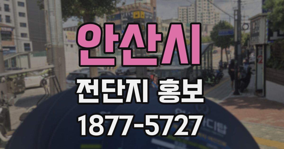 안산시 전단지 홍보