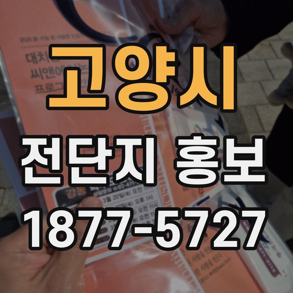 고양시 전단지 홍보
