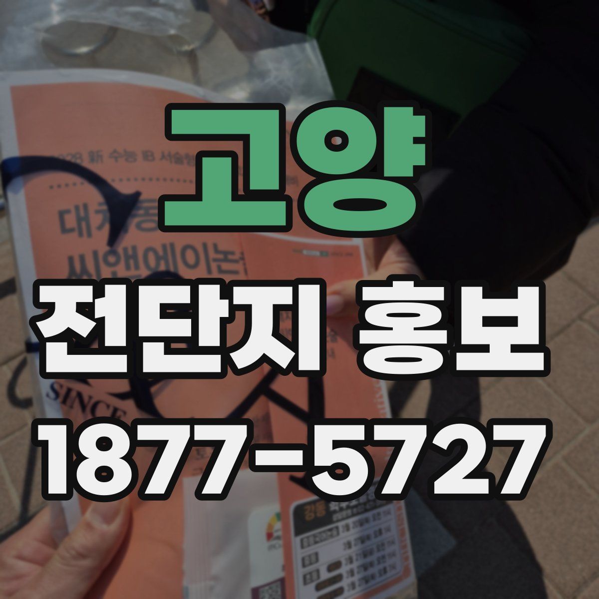 고양 전단지 홍보