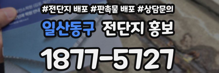 일산동구 전단지 홍보