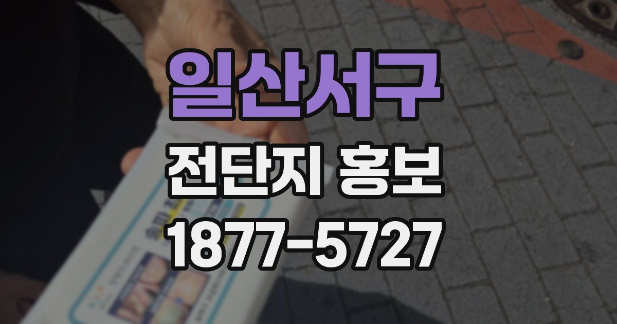 일산서구 전단지 홍보