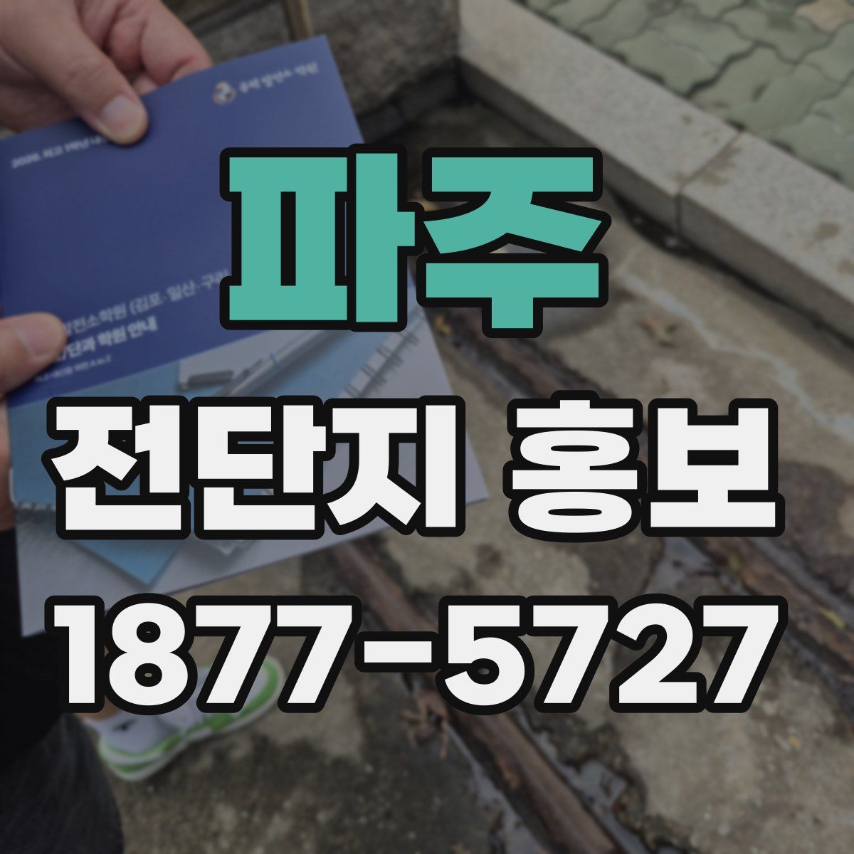 파주 전단지 홍보
