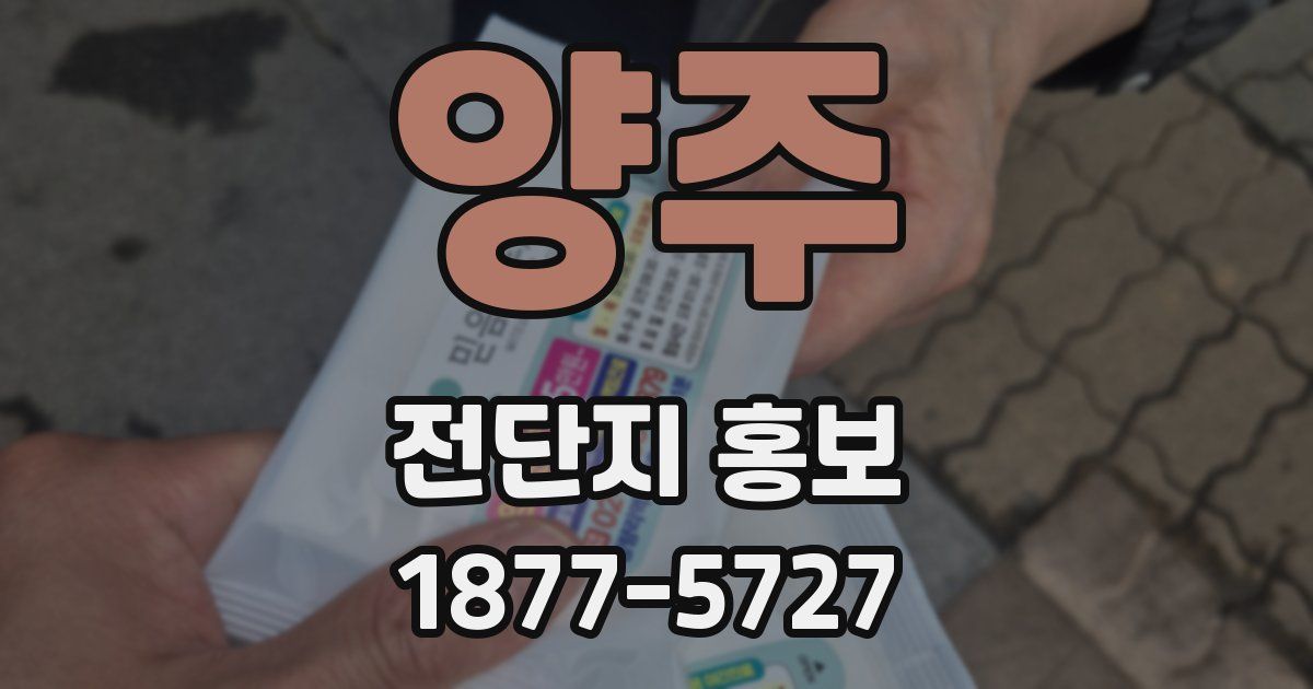 양주 전단지 홍보