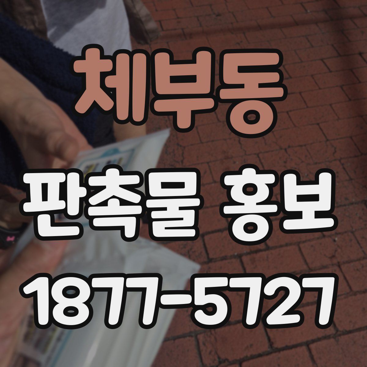 체부동 판촉물 홍보