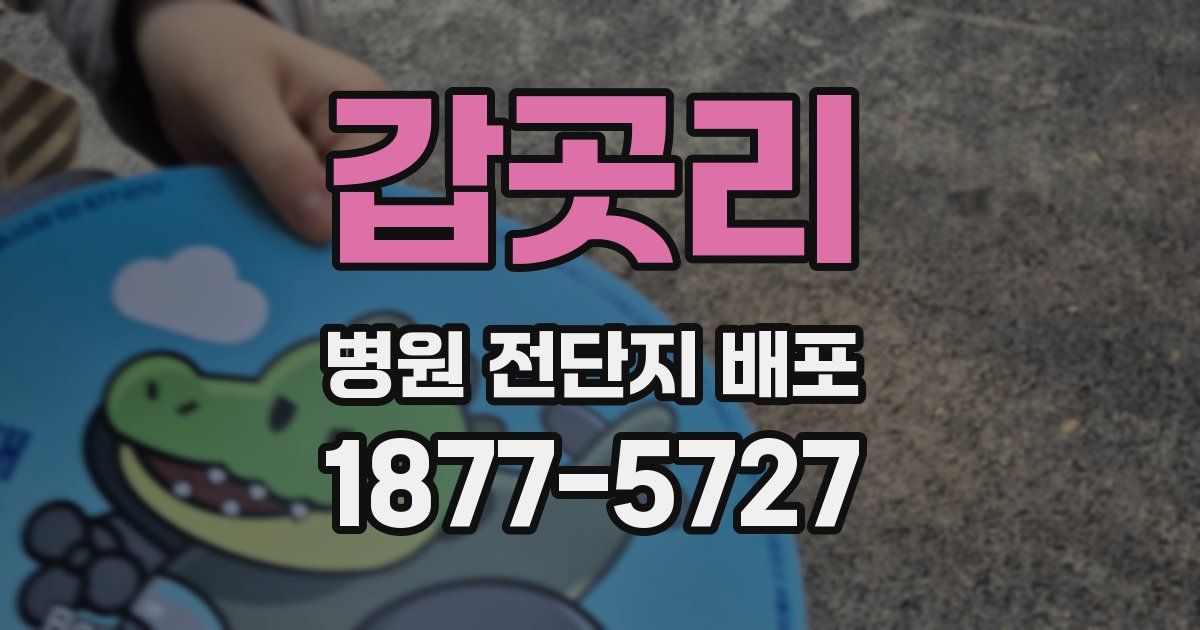 갑곳리 병원 전단지 배포