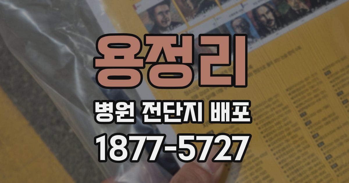 용정리 병원 전단지 배포