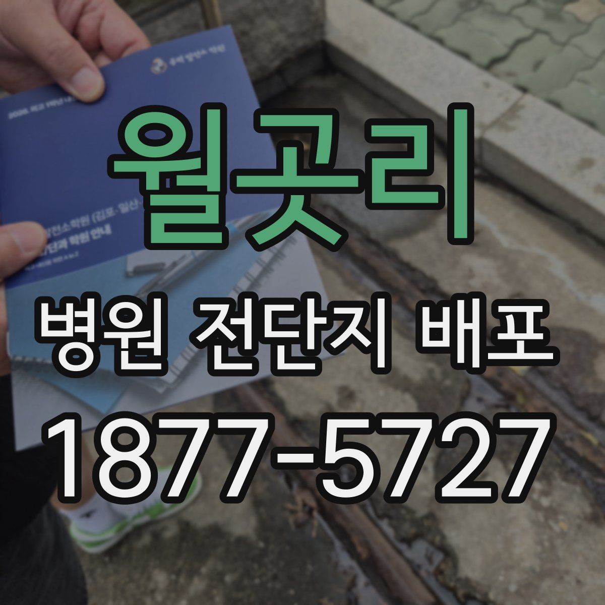 월곳리 병원 전단지 배포
