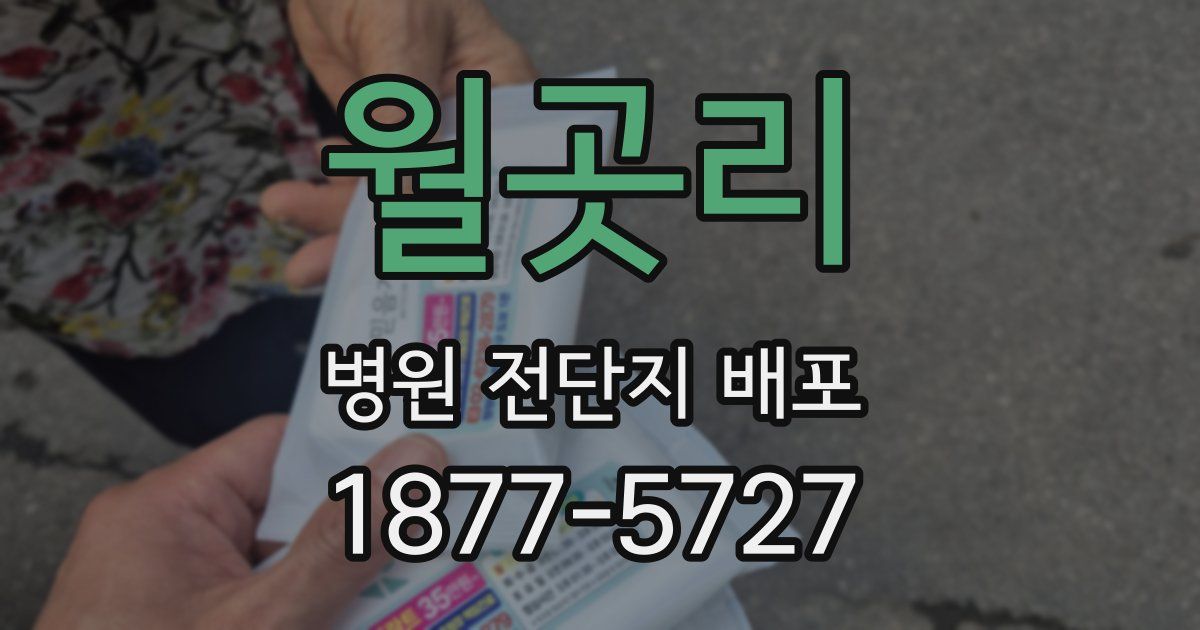 월곳리 병원 전단지 배포