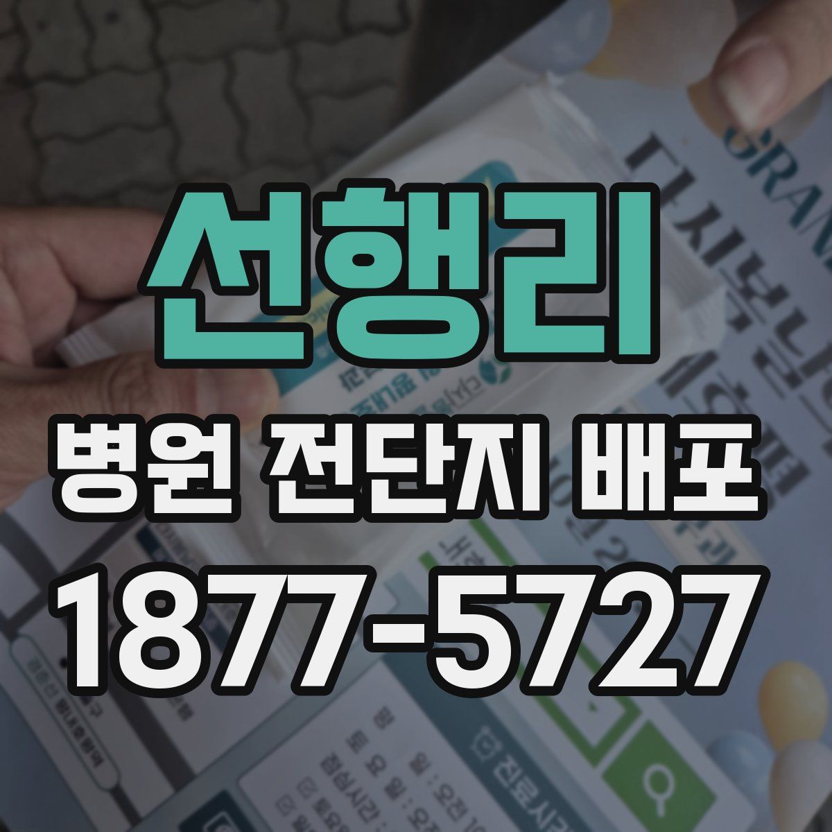선행리 병원 전단지 배포