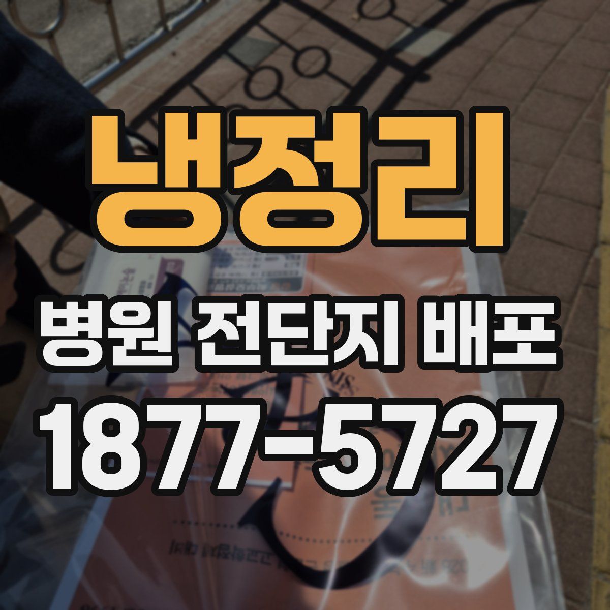 냉정리 병원 전단지 배포