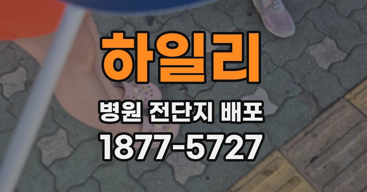 하일리 병원 전단지 배포