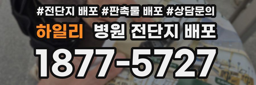 하일리 병원 전단지 배포