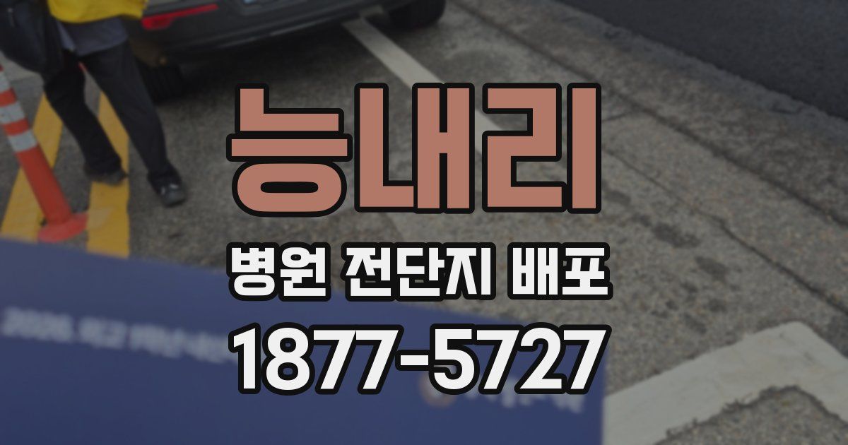 능내리 병원 전단지 배포
