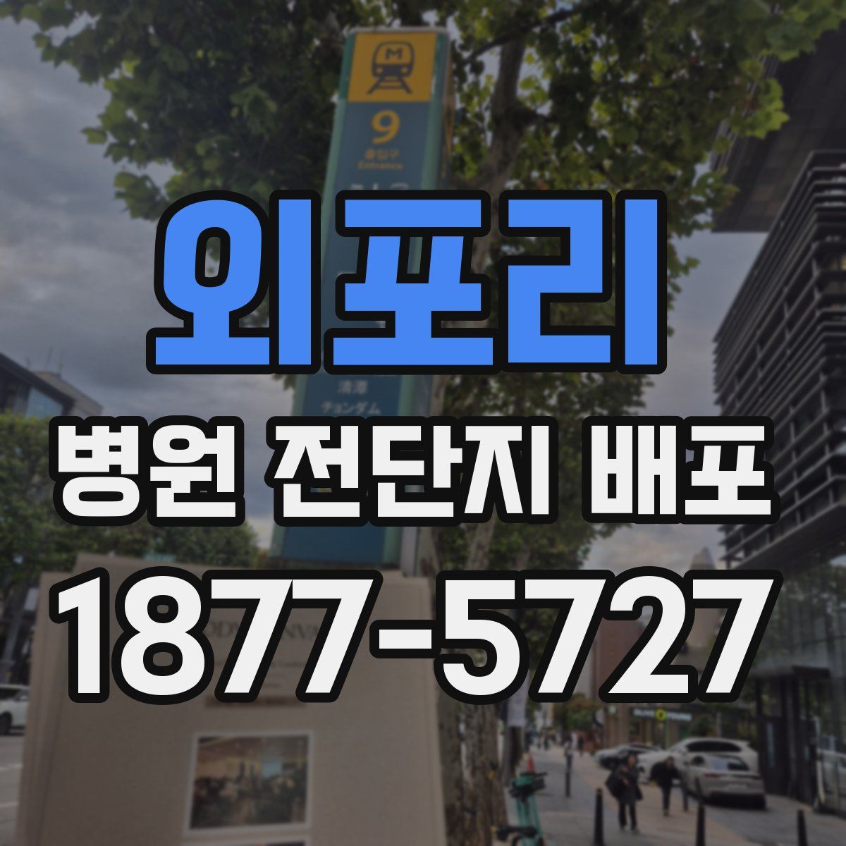 외포리 병원 전단지 배포