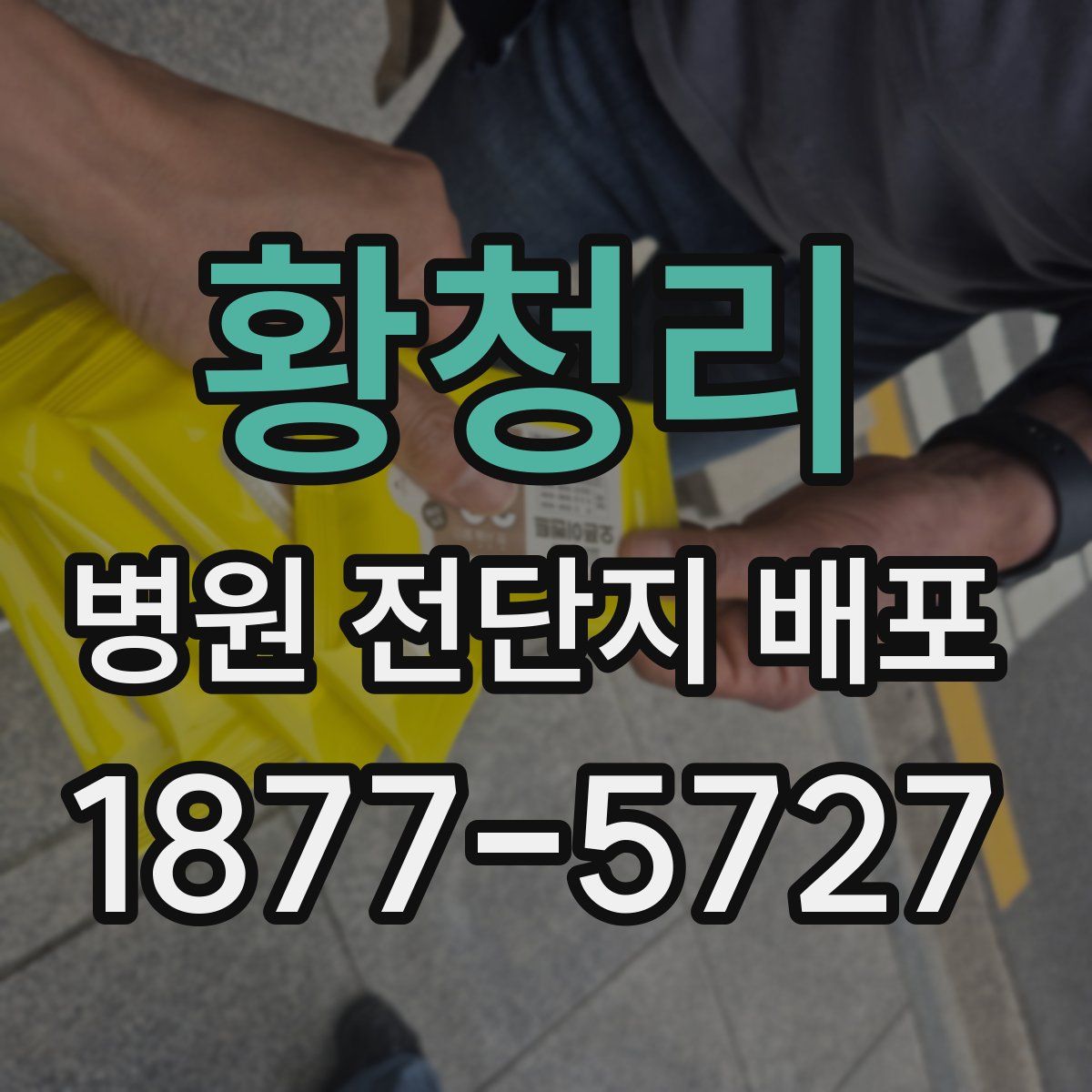 황청리 병원 전단지 배포