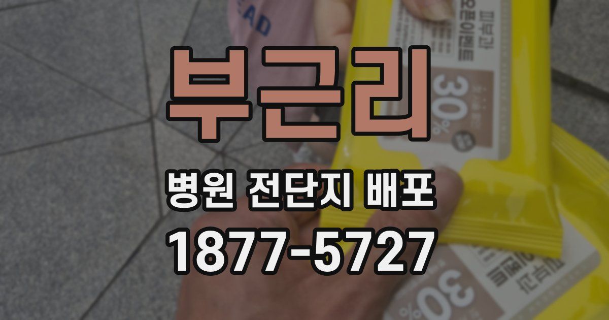 부근리 병원 전단지 배포