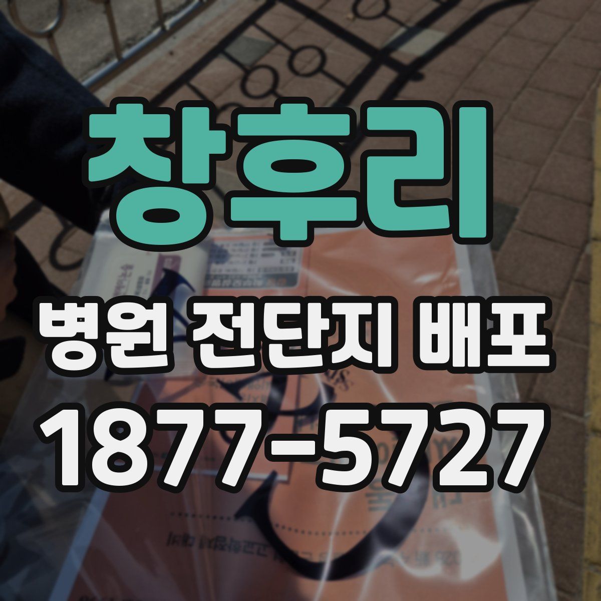 창후리 병원 전단지 배포