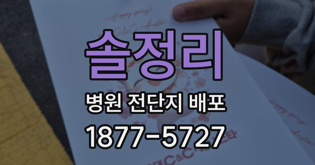 솔정리 병원 전단지 배포