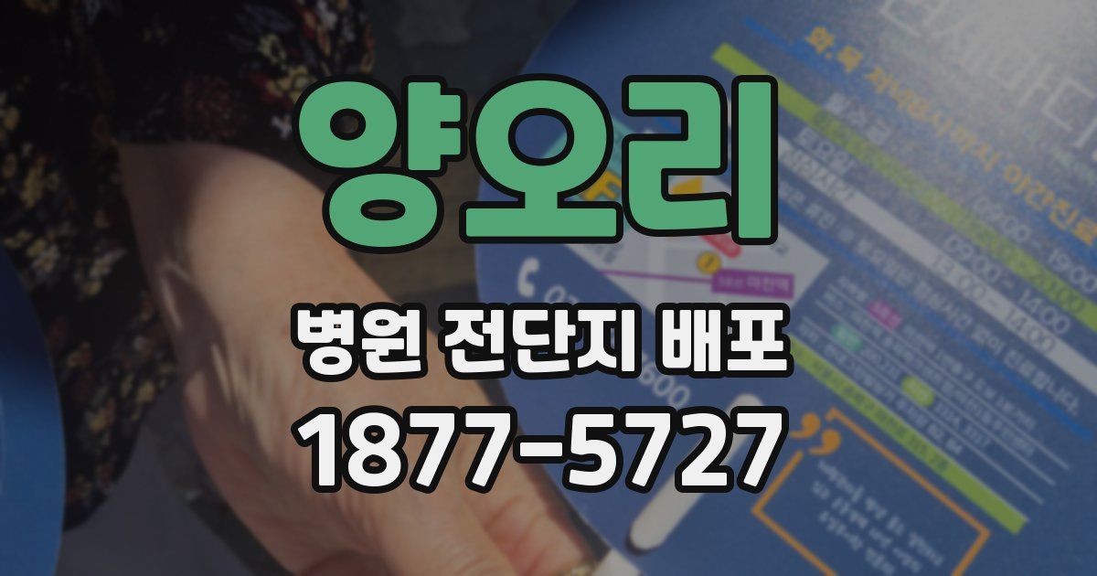 양오리 병원 전단지 배포