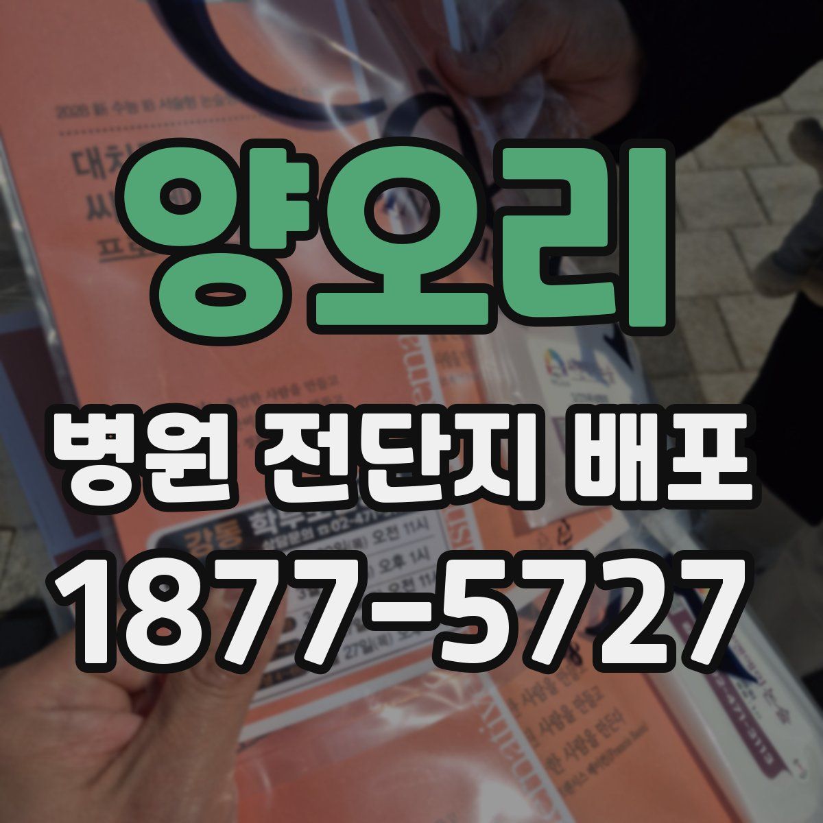 양오리 병원 전단지 배포