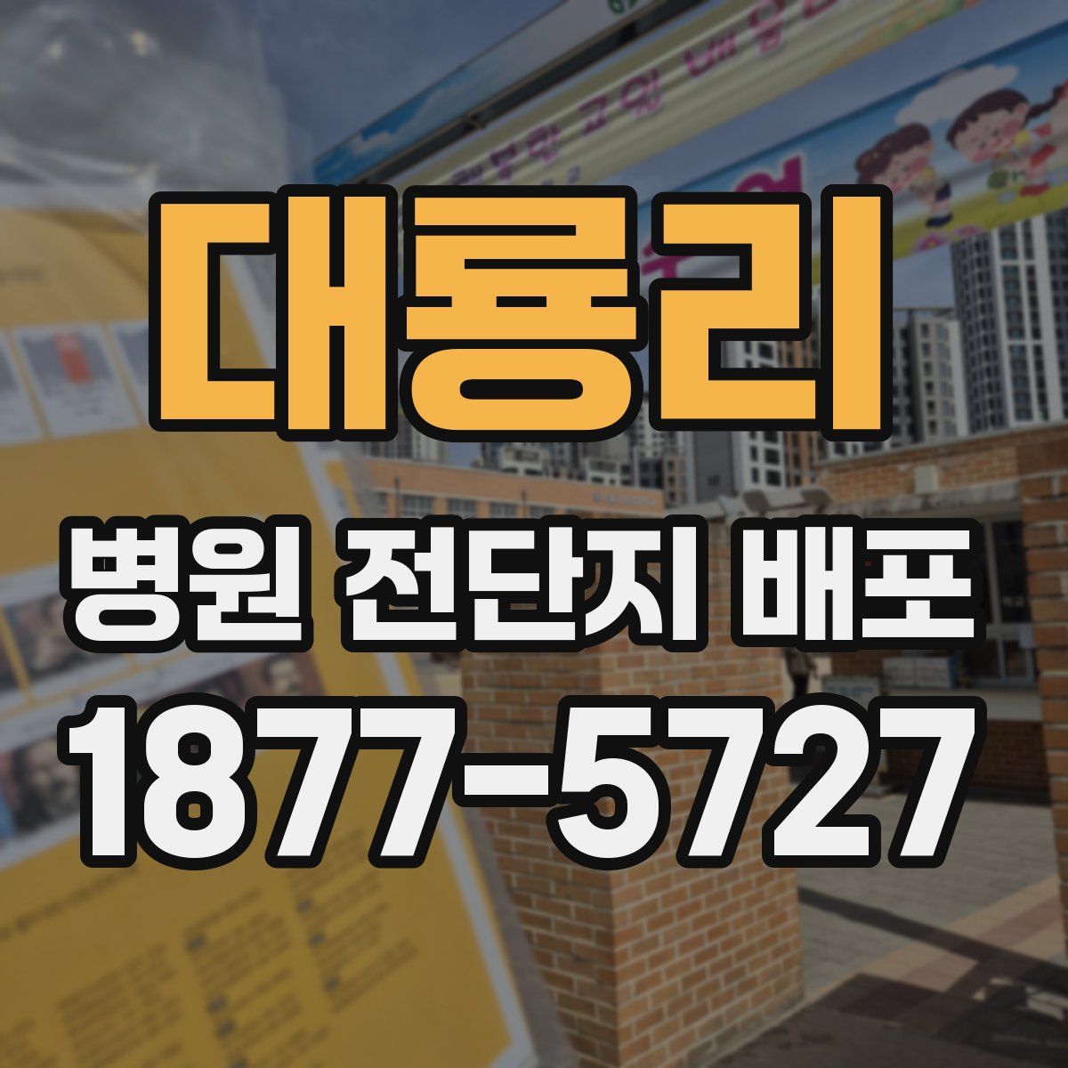 대룡리 병원 전단지 배포