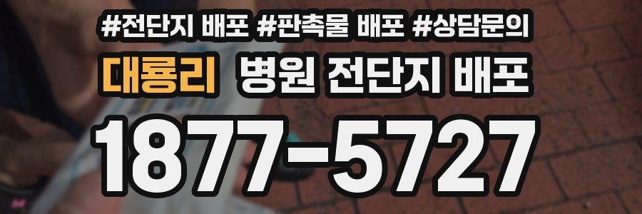 대룡리 병원 전단지 배포