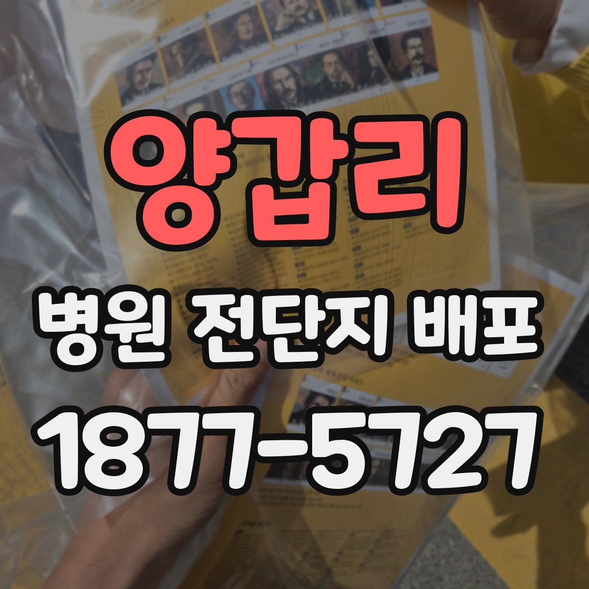 양갑리 병원 전단지 배포