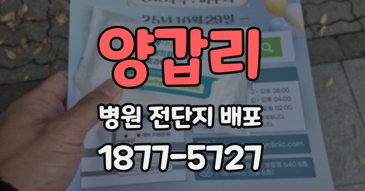 양갑리 병원 전단지 배포