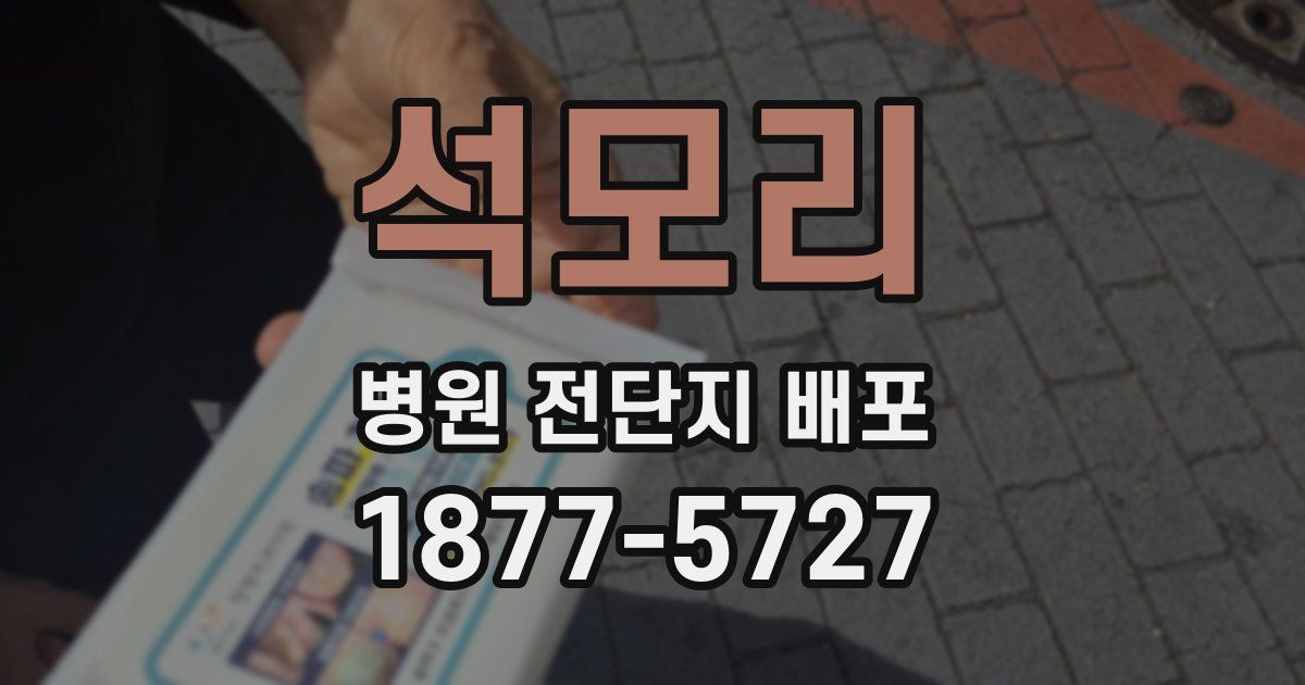 석모리 병원 전단지 배포