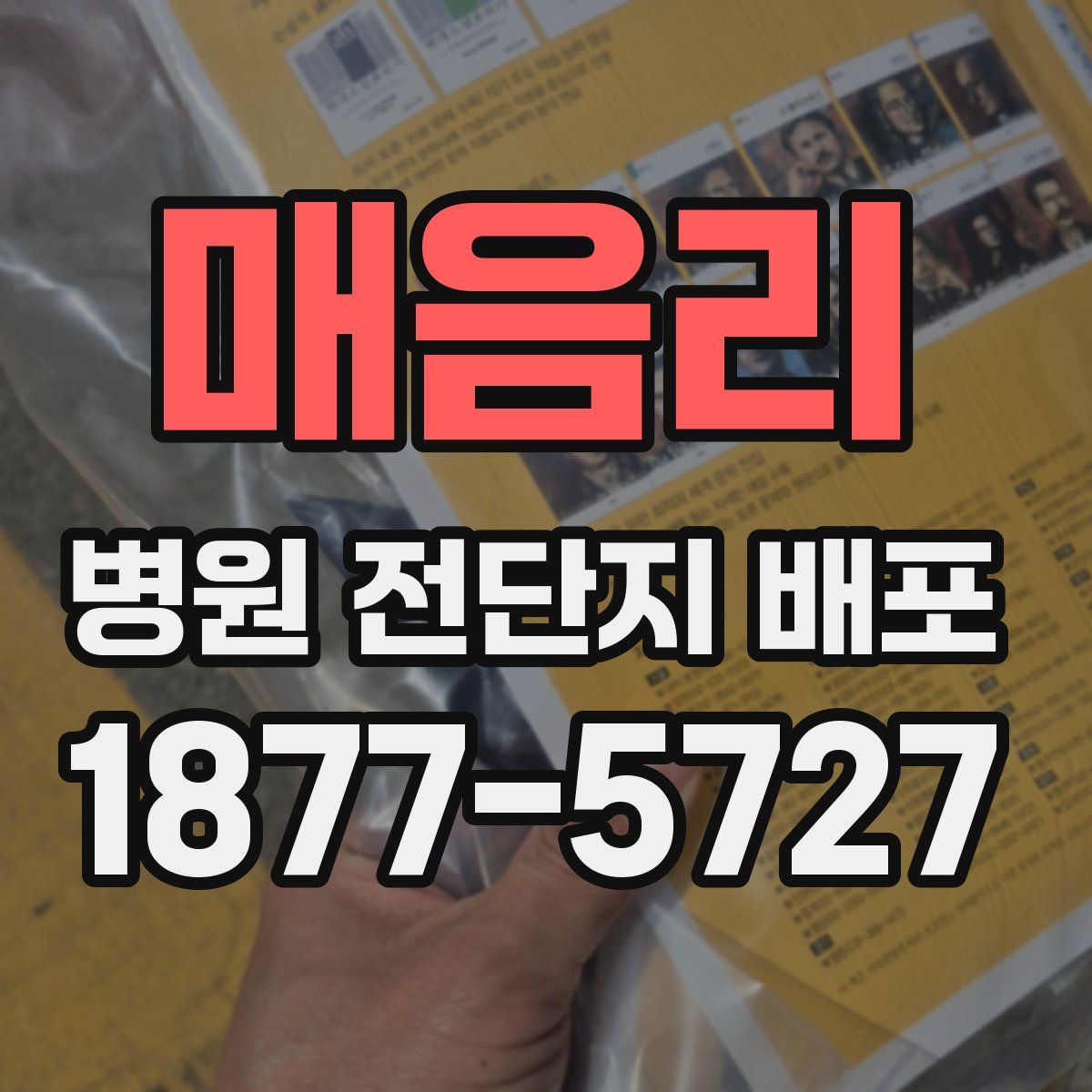 매음리 병원 전단지 배포