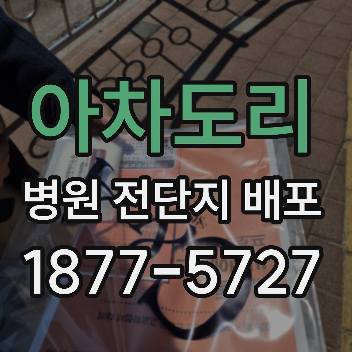 아차도리 병원 전단지 배포